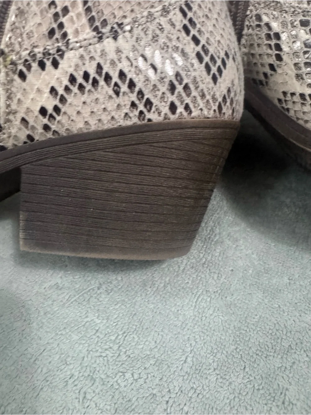 Rampage Snake-Print Ankle Booties in Beige and Black